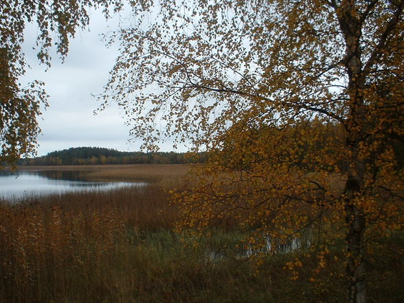 Schweden - det var fin! - 