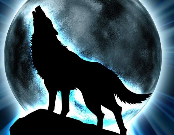 Wolfs Rain - 