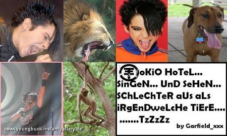 FUCK TOKIO HOTEL (türken bordell) - 