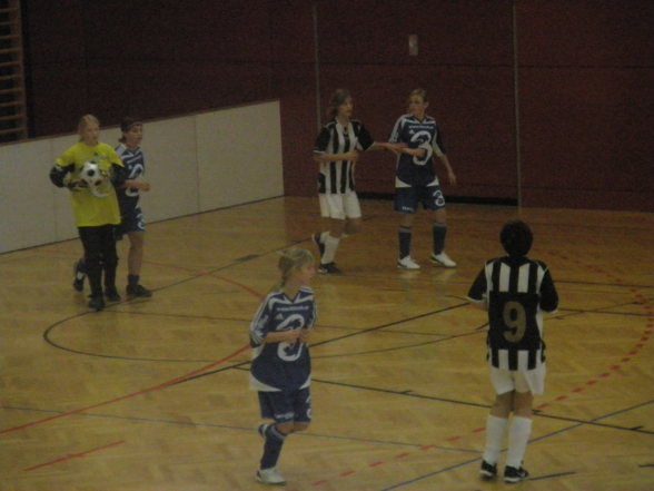 Hallentunier in Wels - 
