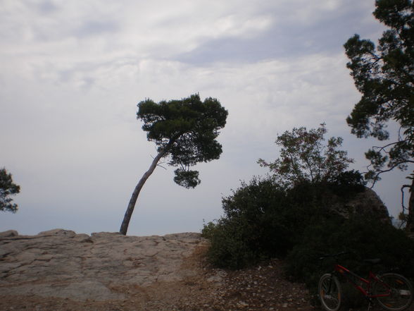 Rovinj, Hrvatska, 2009 - 