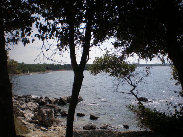 Rovinj, Hrvatska, 2009 - 