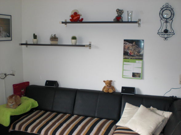 Neue Wohnung - 