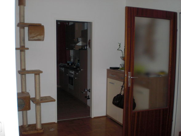 Neue Wohnung - 