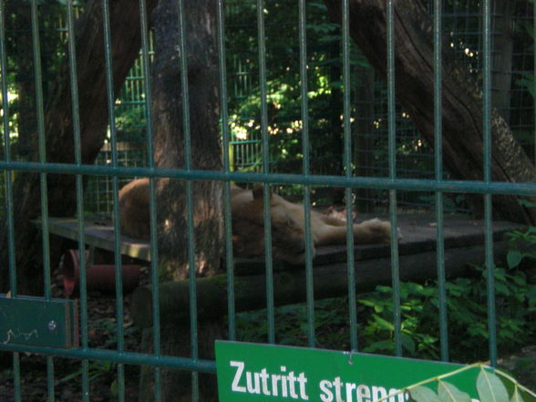 Tierpark Haag - 