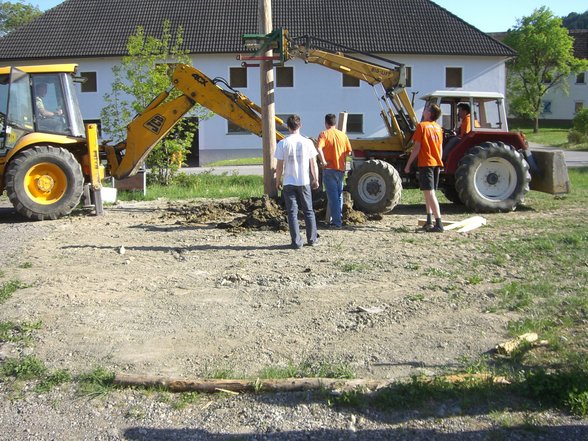 Maibaumfladern - 