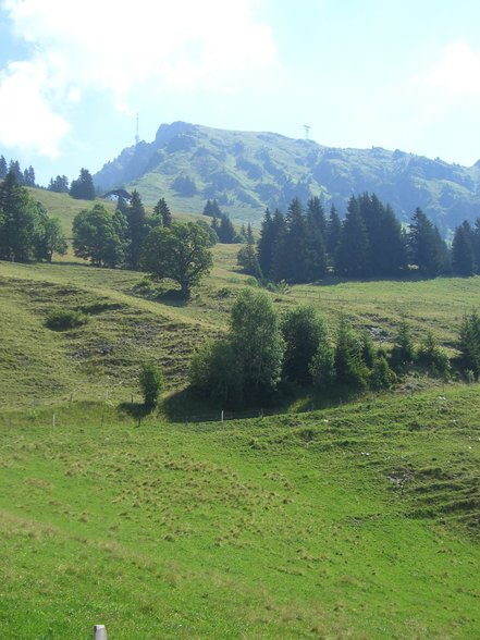 Kitzbühler horn Juni 07 ein Traum - 