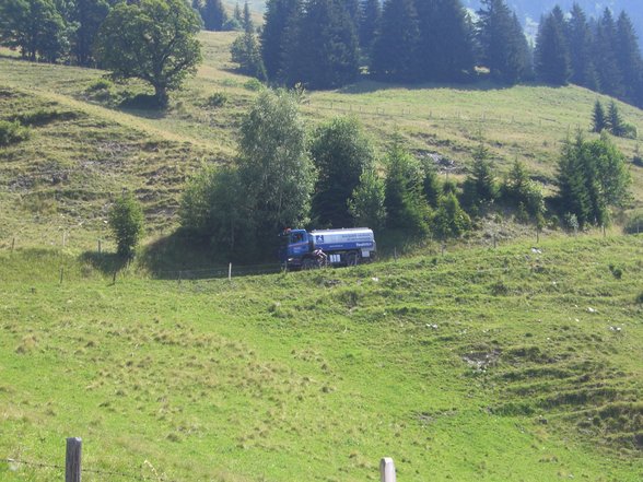 Kitzbühler horn Juni 07 ein Traum - 