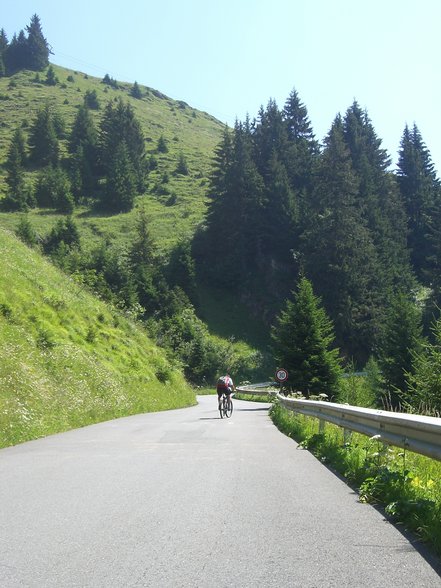 Kitzbühler horn Juni 07 ein Traum - 