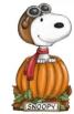 Snoopy - 