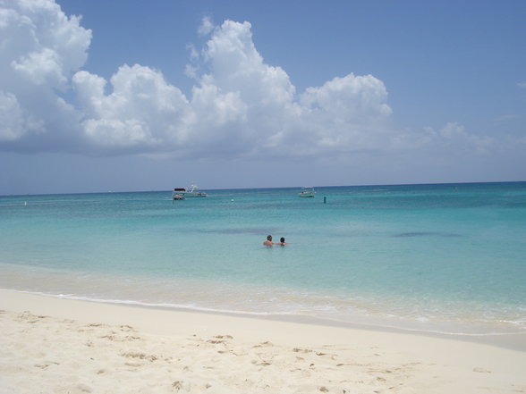 Cayman solala - 