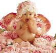 Anne Geddes - 