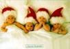 Anne Geddes - 