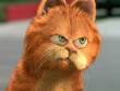 Garfield!! - 