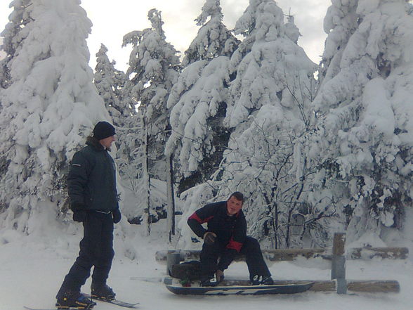 Skifahren am Hochficht 25. Jänner 2010 - 