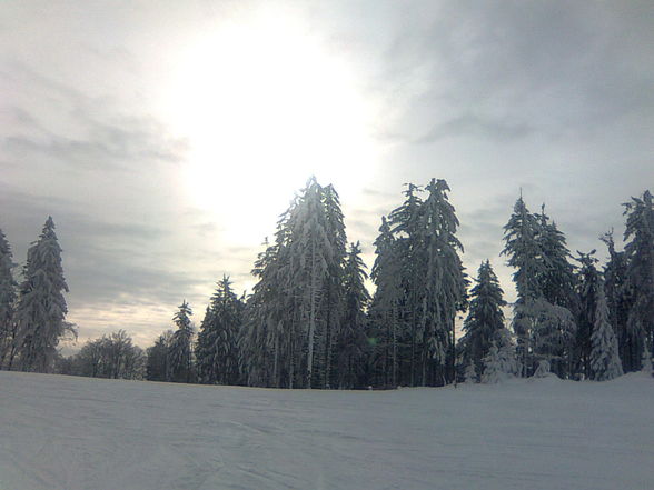 Skifahren am Hochficht 25. Jänner 2010 - 