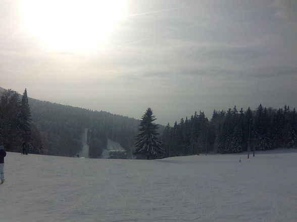 Skifahren am Hochficht 25. Jänner 2010 - 