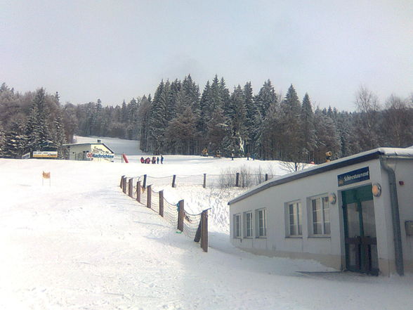 Skifahren am Hochficht 25. Jänner 2010 - 