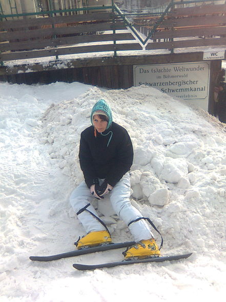 Skifahren am Hochficht 25. Jänner 2010 - 