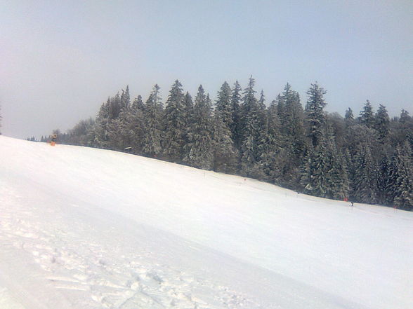 Skifahren am Hochficht 25. Jänner 2010 - 