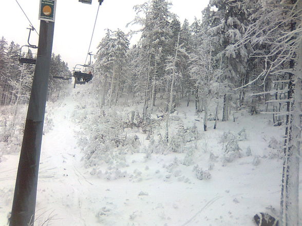 Skifahren am Hochficht 25. Jänner 2010 - 