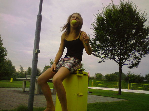 sommer of 2009 - 