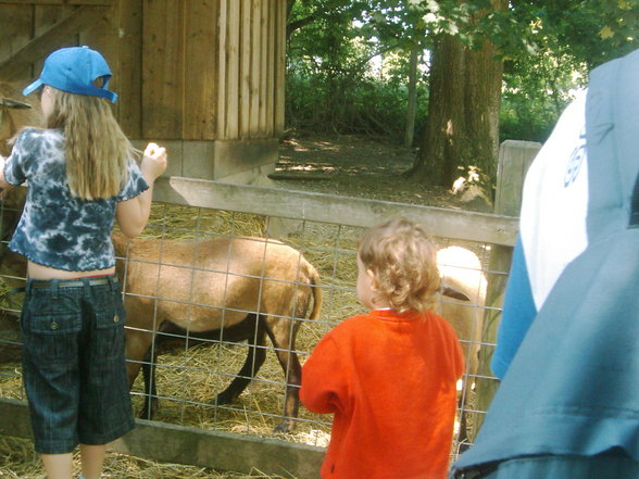 Tierpark HAAG - 