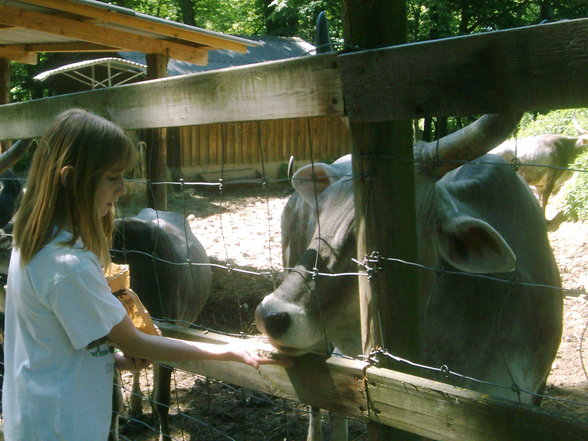 Tierpark HAAG - 