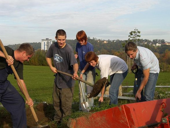 projekt 06/07 das erste opfer - 