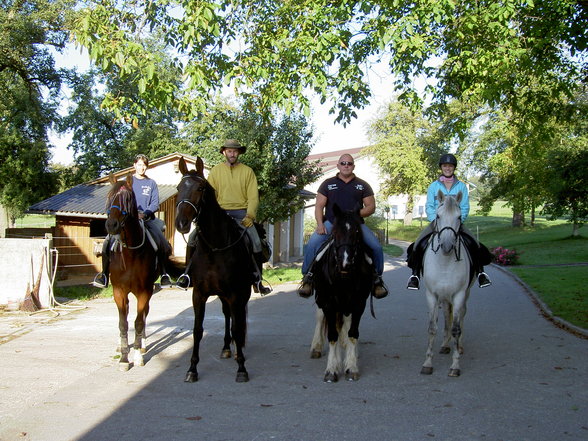 Wanderreiten Wallsee Sep. 2006 - 