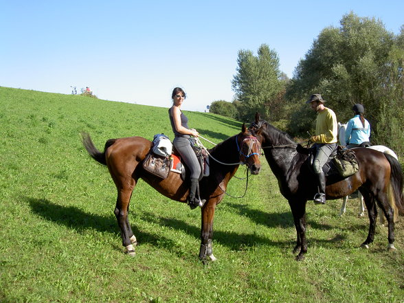 Wanderreiten Wallsee Sep. 2006 - 