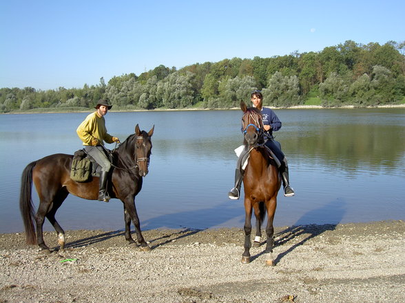 Wanderreiten Wallsee Sep. 2006 - 