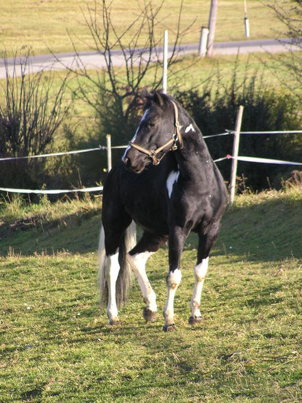 Eltern von Rodriguez - 