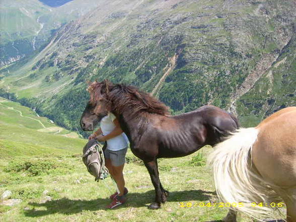 Mei Resser auf dar Alm! - 