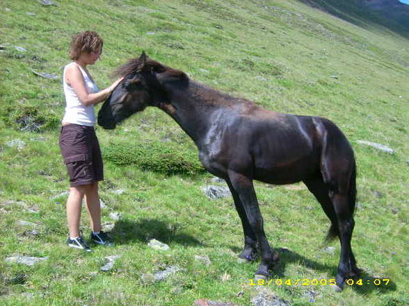 Mei Resser auf dar Alm! - 