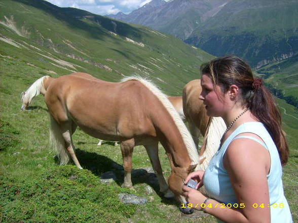 Mei Resser auf dar Alm! - 