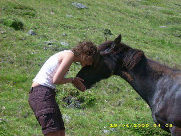 Mei Resser auf dar Alm! - 