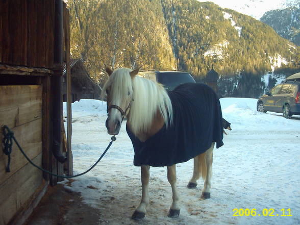 Mei Resser auf dar Alm! - 