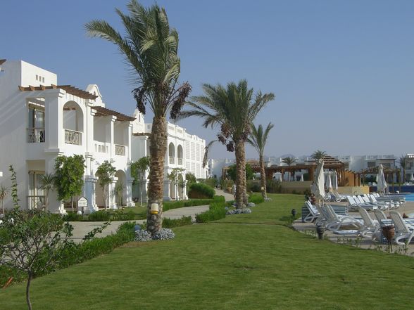 Sharm El Sheikh - 