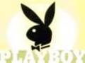 Play-boy - 