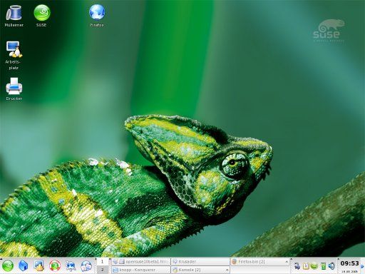 WINDOWS & LINUX - 