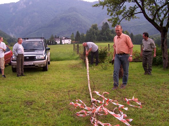 Maibaum umschneiden bam Hoarn - 