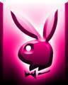 PLAYBOY - 