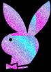 PLAYBOY - 