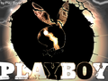 PLAYBOY - 