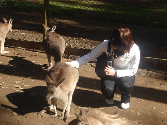 ° AusTraLia ° - 