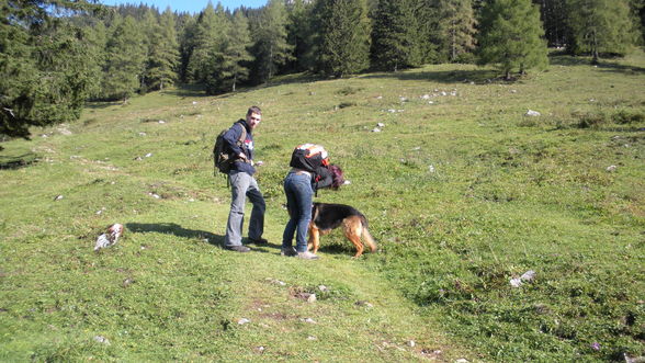 kleiner ausflug - 