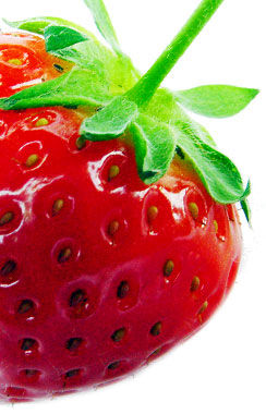 Erdbeeren - 