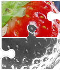 Erdbeeren - 