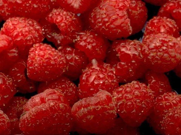 Erdbeeren - 